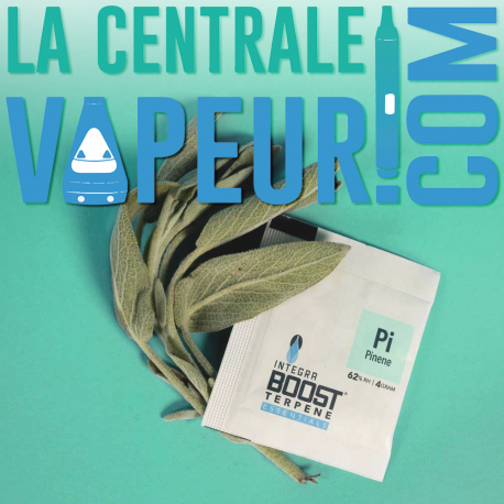 Sachet régulateur d'humidité aux terpènes