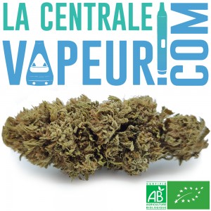 Serenity Monki CBG Bio - Fleur de chanvre biologique française 8,7 % CBG