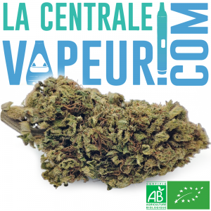 Green Monki Bio - Fleur de chanvre biologique française CBD + CBG Premium