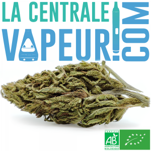 Moreau 23 Bio - Fleur de chanvre CBD biologique française 8%