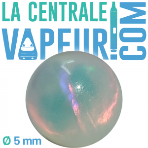 Opaal Terp Parel 5 mm (wit) Terporium