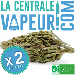 Moreau 23 Bio - Fleur de chanvre CBD biologique française 8%