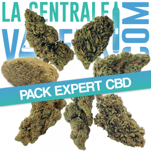 CBD expert pack - Selection of the best CBD flowers and resins