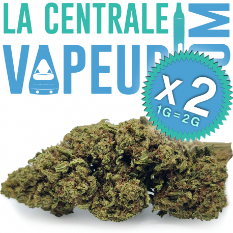 Vanilla Kush - Fleur de chanvre premium CBD 7,6 %