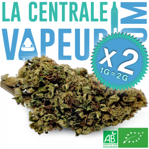 Green Monki Bio - Fleur de chanvre biologique française CBD + CBG Premium