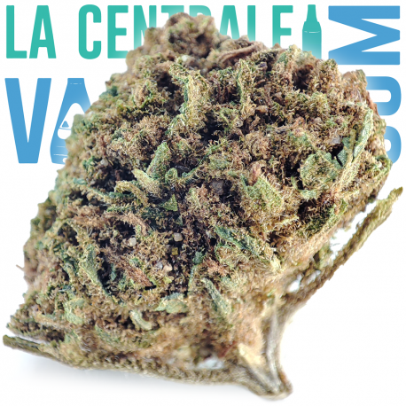 Cannatonic (pop corn) - 8-9% CBD cáñamo mini flor