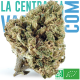 Orange Monki - Organic French hemp flower 8-10% CBD