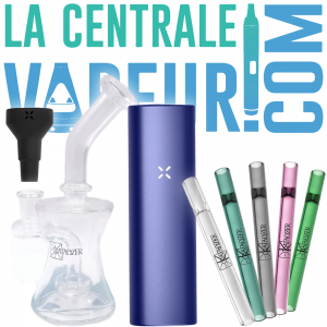 Kit de inicio PAX Plus + Bubbler