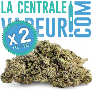 Critical Cheese - Flor de cáñamo premium 12% CBD