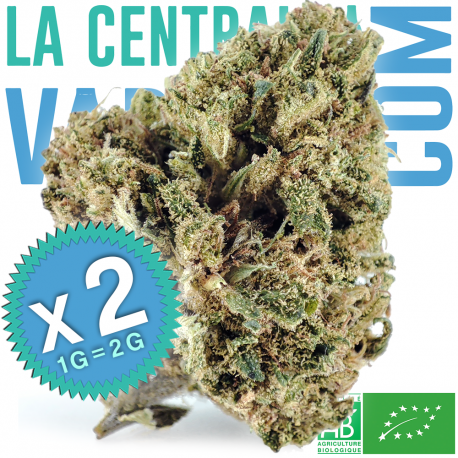 Orange Monki - květ organického francouzského konopí 8-10% CBD