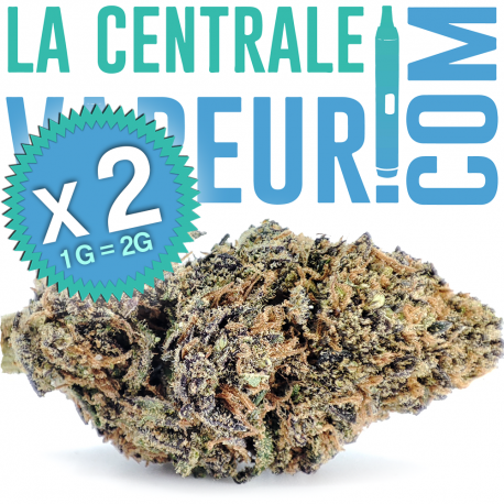 Blueberry Purple - Flor de cáñamo 13% CBD premium