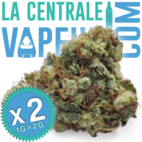 Super Lemon Haze (Freeze dry) - Fleur de chanvre CBD premium 15 %