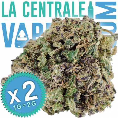 Nachoz - Hennepbloem 11% CBD premium