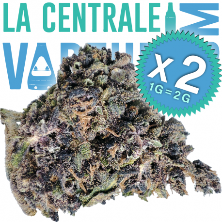 Morado - Flor de cáñamo 7% CBD