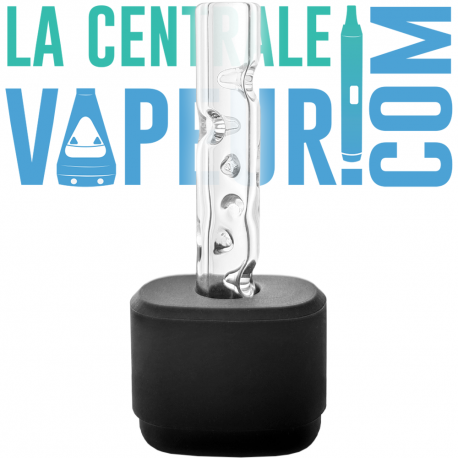 Stem 3D pour PAX Plus