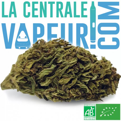 Creusoise Bio (palomitas)