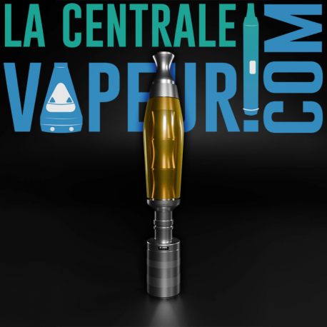 Dani Punch (1ère Édition)