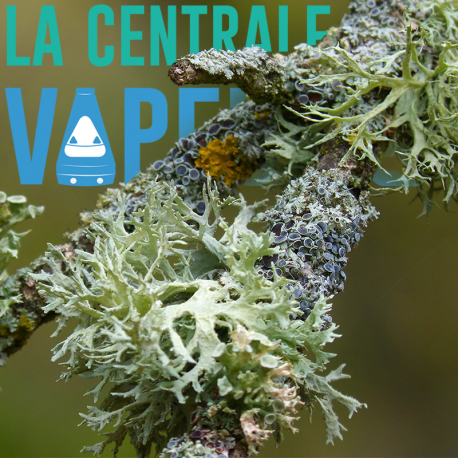 Mousse Islandaise 15 grammes