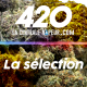 Selección de dispensarios 420