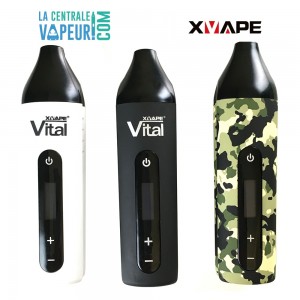 VITAL - XVape