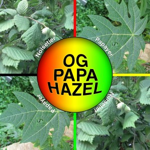 Papa Hazel Mix 30g - Mix of plants to vaporizer / diffuse - Mix à la Green go