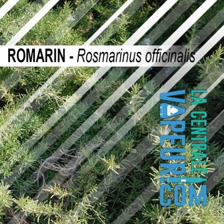 Rosemary 30 grams - whole leaf - Rosmarinus officinalis