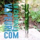 De scepter van Alania - Orion - groene glazen steel voor Dynavap