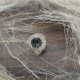 Degummed hemp fiber - Fibre en chanvre naturel
