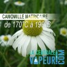 Kamille Matricaire Bio - 30g
