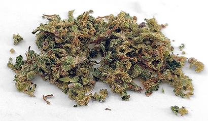 Rendu AVB avec le PAX Flow : non chauffé