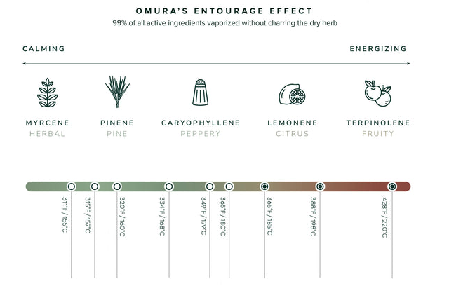 Effets et saveurs selon les températures avec le Omura Series 1