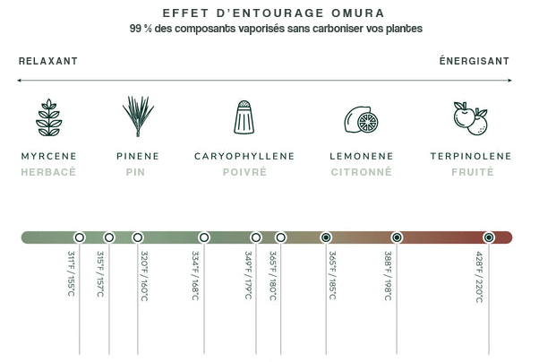 Effets et saveurs selon les températures avec le Omura Series 1
