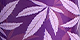 PROF violeta floral